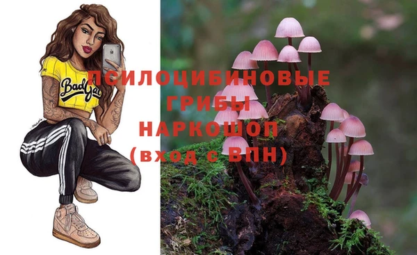 соль ск Пестово