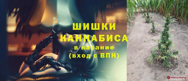 соль ск Пестово