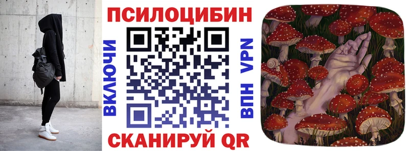 Псилоцибиновые грибы Cubensis  Полярный 